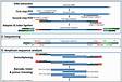 Correcting for 16S rRNA gene copy numbers in microbiom